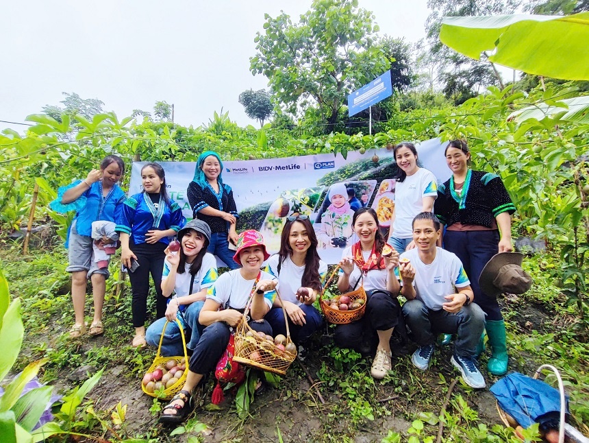 BIDV MetLife cùng Plan International ghi dấu thành quả dự án nông nghiệp bền vững tại Lai Châu BIDV MetLife cùng Plan International ghi dấu thành quả dự án nông nghiệp bền vững tại Lai Châu