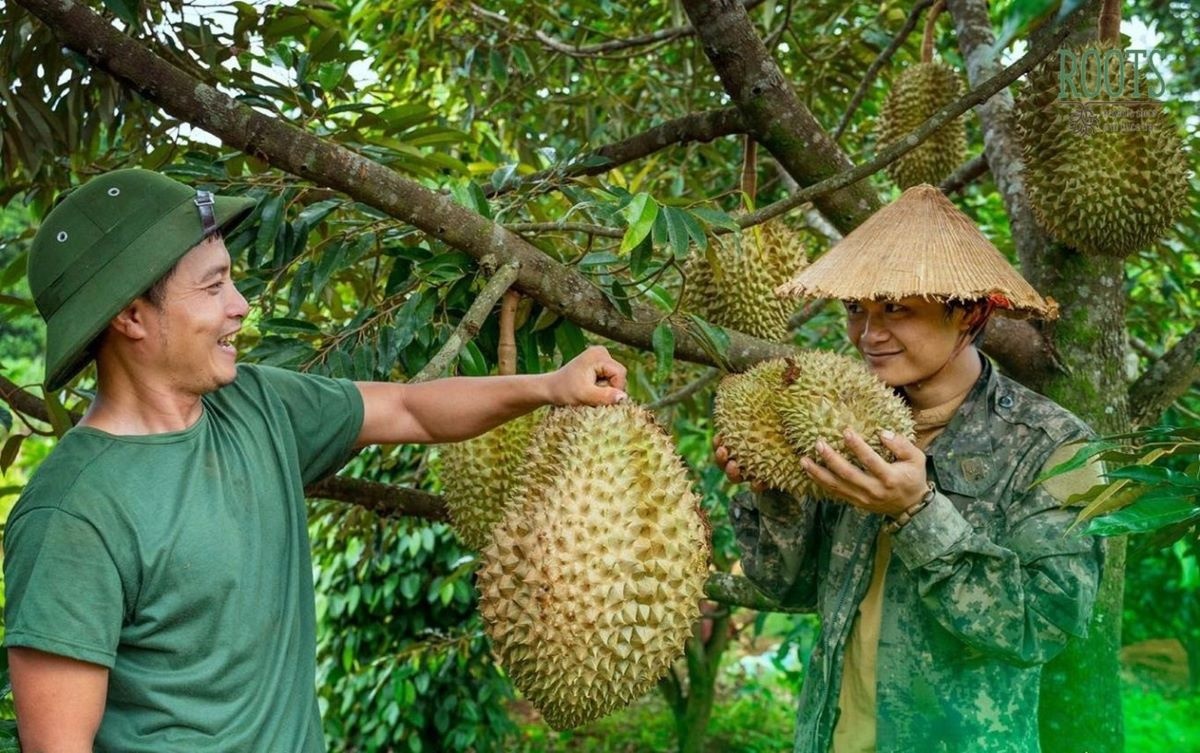 Kim ngạch xuất khẩu sầu riêng dự báo có thể chạm mốc 4 tỷ USD trong năm 2025 Kim ngạch xuất khẩu sầu riêng dự báo có thể chạm mốc 4 tỷ USD trong năm 2025
