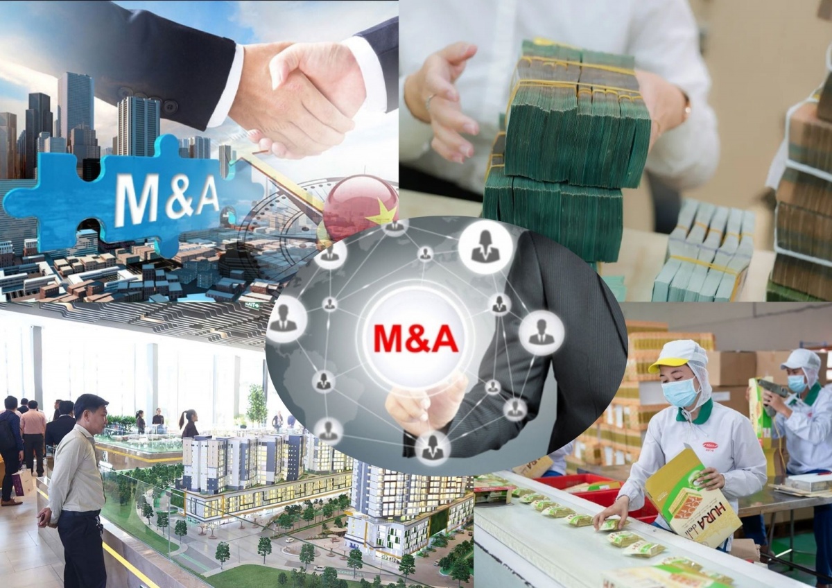 Dòng vốn M&A hơn 700 triệu USD: Năng lượng dẫn sóng, nhà đầu tư ngoại định hướng thị trường