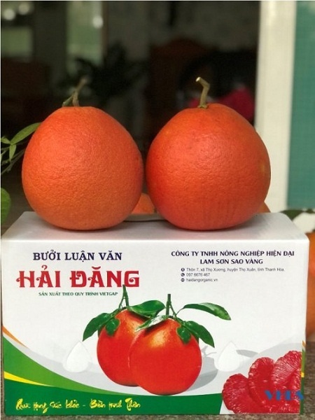 Ẩm thực xứ Thanh, “đòn bẩy mềm” tạo dấu ấn cho du lịch Ẩm thực xứ Thanh, “đòn bẩy mềm” tạo dấu ấn cho du lịch
