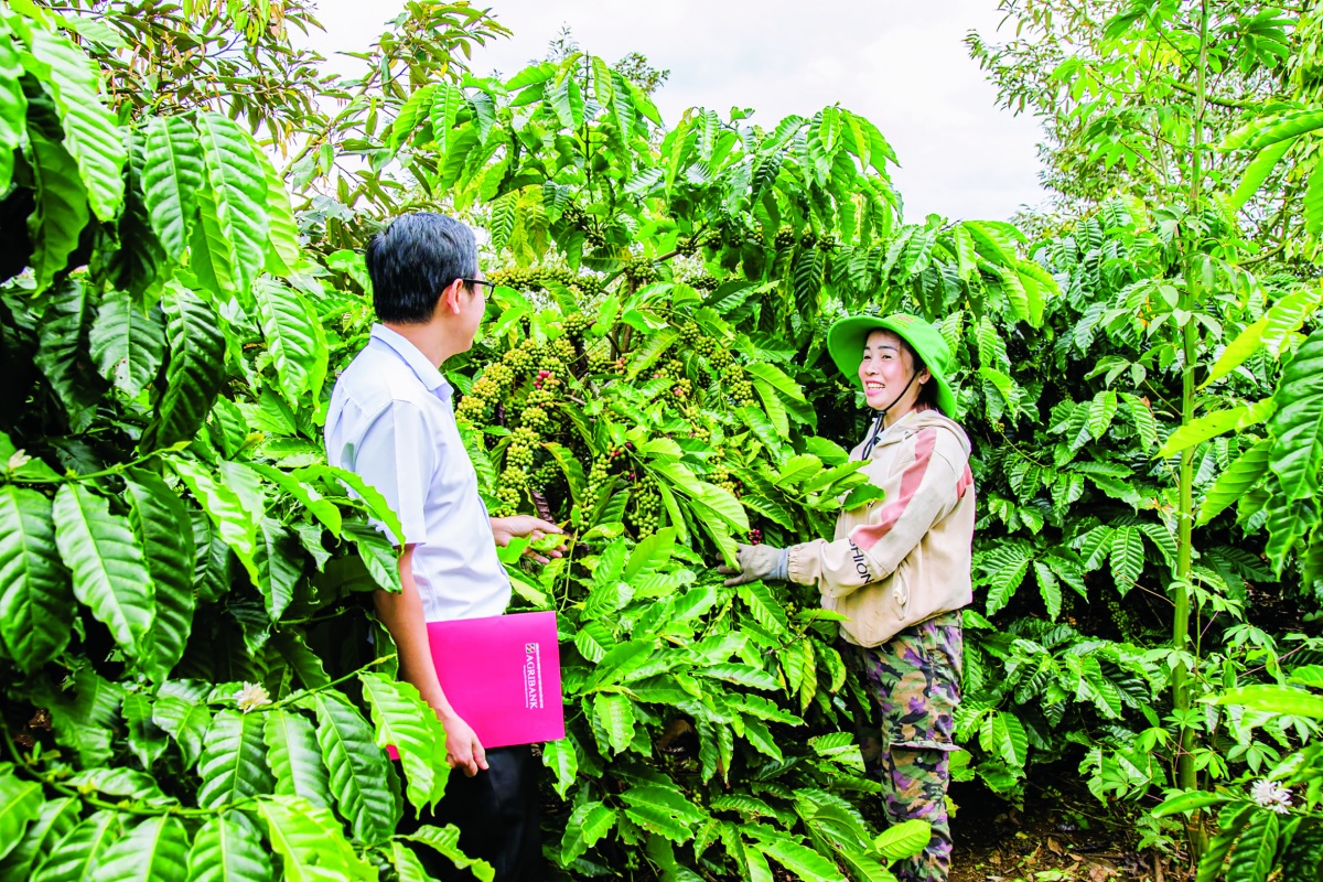 Dịch vụ ngân hàng hiện đại của Agribank không chỉ giúp người dân thanh toán thuận tiện mà còn mở ra nhiều dịch vụ tài chính với chi phí thấp, thậm chí miễn phí Dịch vụ ngân hàng hiện đại của Agribank không chỉ giúp người dân thanh toán thuận tiện mà còn mở ra nhiều dịch vụ tài chính với chi phí thấp, thậm chí miễn phí