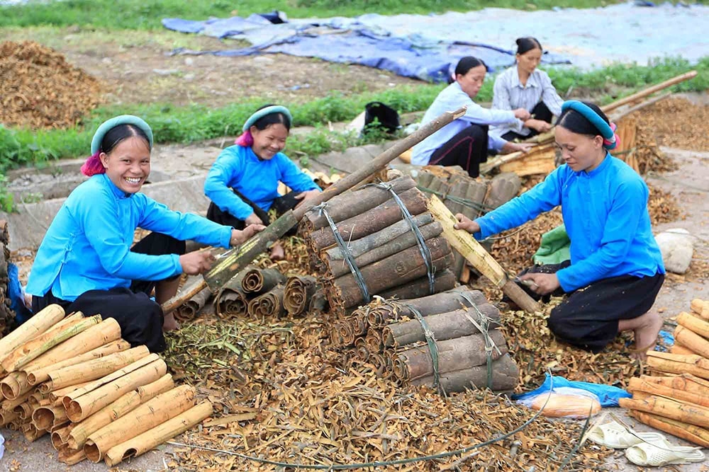 Rừng trở thành nguồn sinh kế chính của người dân, nhất là đồng bào dân tộc thiểu số ở vùng sâu, vùng đặc biệt khó khăn