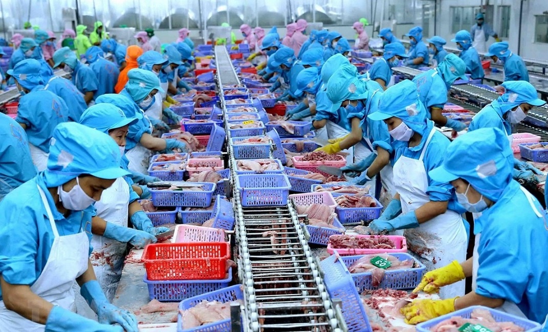 Thủy sản Việt Nam chiếm trên 7% thị phần thế giới. Thủy sản Việt Nam chiếm trên 7% thị phần thế giới.