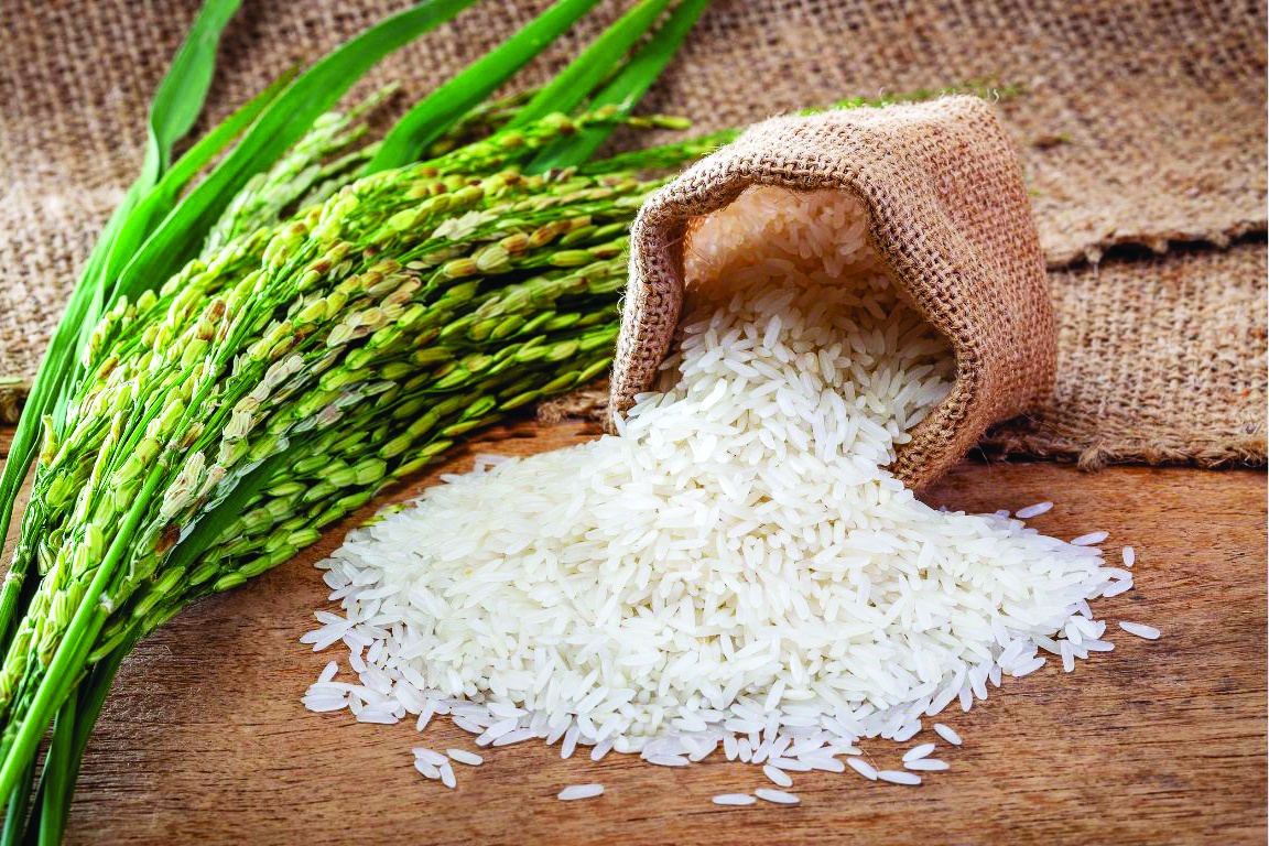 Xây dựng các vùng nguyên liệu ổn định, đáp ứng yêu cầu an toàn thực phẩm, truy xuất nguồn gốc, ổn định chất lượng và xây dựng thương hiệu được coi là điều kiện tiên quyết Xây dựng các vùng nguyên liệu ổn định, đáp ứng yêu cầu an toàn thực phẩm, truy xuất nguồn gốc, ổn định chất lượng và xây dựng thương hiệu được coi là điều kiện tiên quyết
