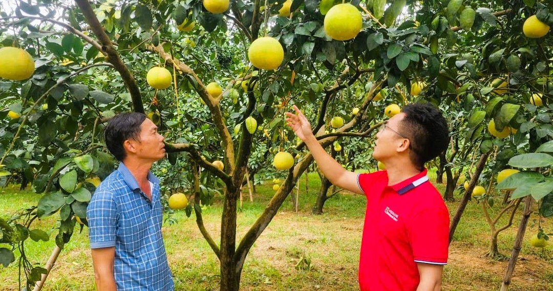 Tín dụng phục vụ nông nghiệp, nông thôn chiếm tới 43% tổng dư nợ, cho thấy vai trò “bà đỡ” của ngân hàng đối với khu vực kinh tế chủ lực ở Bắc Trung bộ. Tín dụng phục vụ nông nghiệp, nông thôn chiếm tới 43% tổng dư nợ, cho thấy vai trò “bà đỡ” của ngân hàng đối với khu vực kinh tế chủ lực ở Bắc Trung bộ.