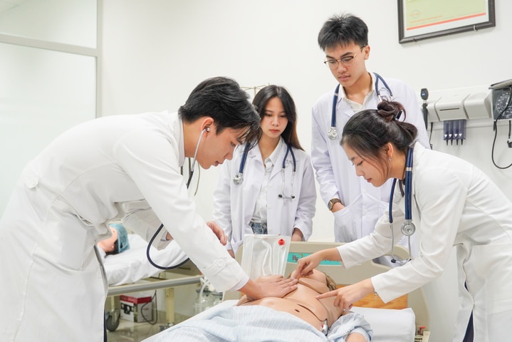 Top ngành nghề nào trả lương cao nhất 2025?