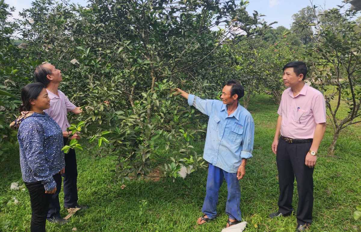 Dòng vốn đang chảy nhiều hơn vào các mô hình kinh tế, sản phẩm OCOP, Dòng vốn đang chảy nhiều hơn vào các mô hình kinh tế, sản phẩm OCOP,