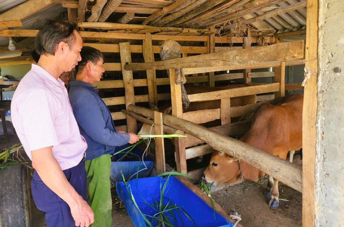 tín dụng chính sách không chỉ là công cụ hỗ trợ an sinh mà còn là đòn bẩy thúc đẩy phát triển kinh tế. tín dụng chính sách không chỉ là công cụ hỗ trợ an sinh mà còn là đòn bẩy thúc đẩy phát triển kinh tế.