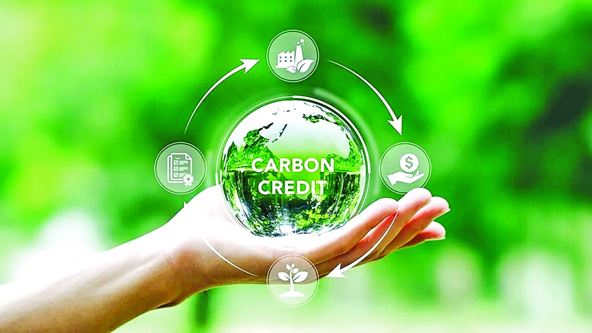 Thị trường carbon là một chợ vốn xanh. Nếu được thiết kế đúng, sẽ trở thành kênh huy động nguồn lực xã hội quy mô lớn cho chuyển đổi xanh Thị trường carbon là một chợ vốn xanh. Nếu được thiết kế đúng, sẽ trở thành kênh huy động nguồn lực xã hội quy mô lớn cho chuyển đổi xanh