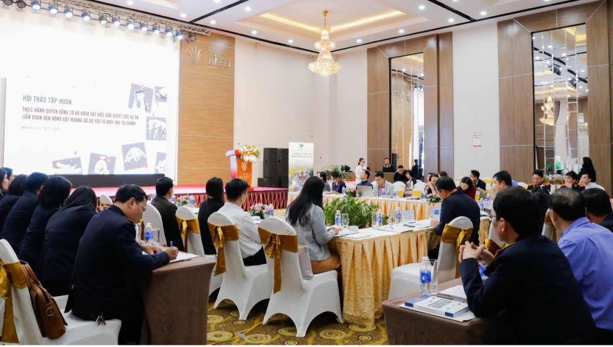 Toàn cảnh hội thảo tập huấn, Ninh Bình, tháng 12/2025 Toàn cảnh hội thảo tập huấn, Ninh Bình, tháng 12/2025