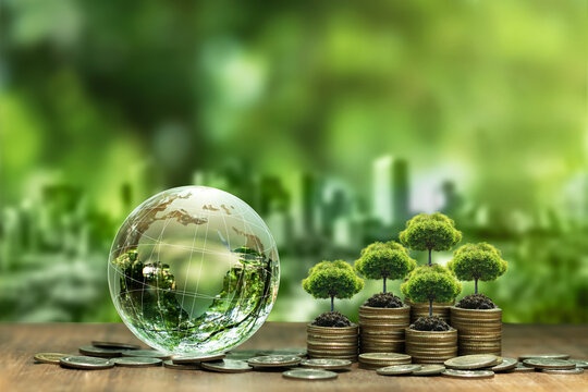 Từ chuẩn bị đến triển khai: Doanh nghiệp trước ngưỡng vận hành thị trường carbon