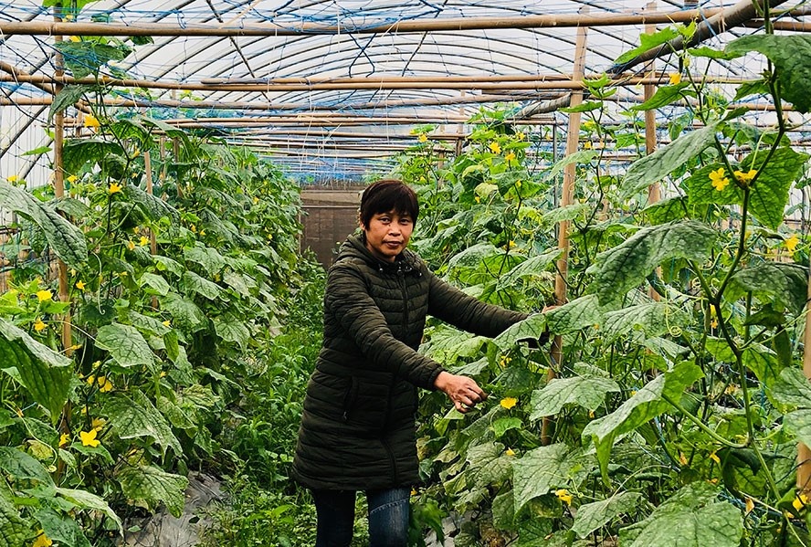 Người tiêu dùng hiện nay sẵn sàng trả giá cao hơn cho sản phẩm có thương hiệu, minh bạch thông tin và đảm bảo chất lượng