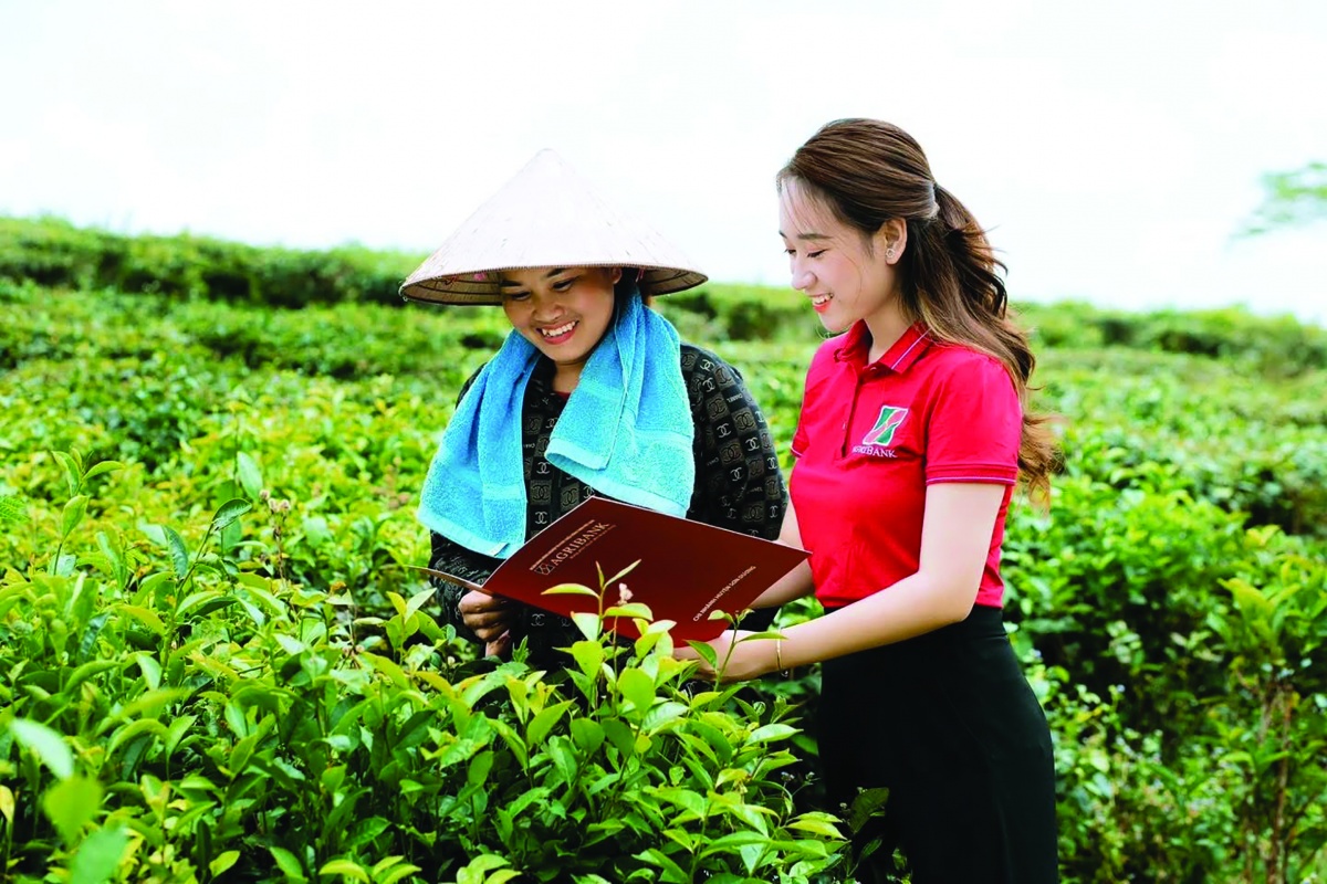 Các tổ chức tín dụng với nguồn vốn xanh được xem là “người tiếp lửa” cho “cuộc cách mạng” ESG