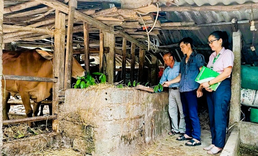 duy trì mạng lưới “điểm giao dịch”, bảo đảm phương châm “gần dân, sát dân”, không để việc sắp xếp đơn vị hành chính làm gián đoạn dòng vốn chính sách. duy trì mạng lưới “điểm giao dịch”, bảo đảm phương châm “gần dân, sát dân”, không để việc sắp xếp đơn vị hành chính làm gián đoạn dòng vốn chính sách.