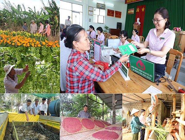 Quy định về tổ chức, hoạt động của Ngân hàng Chính sách xã hội Quy định về tổ chức, hoạt động của Ngân hàng Chính sách xã hội
