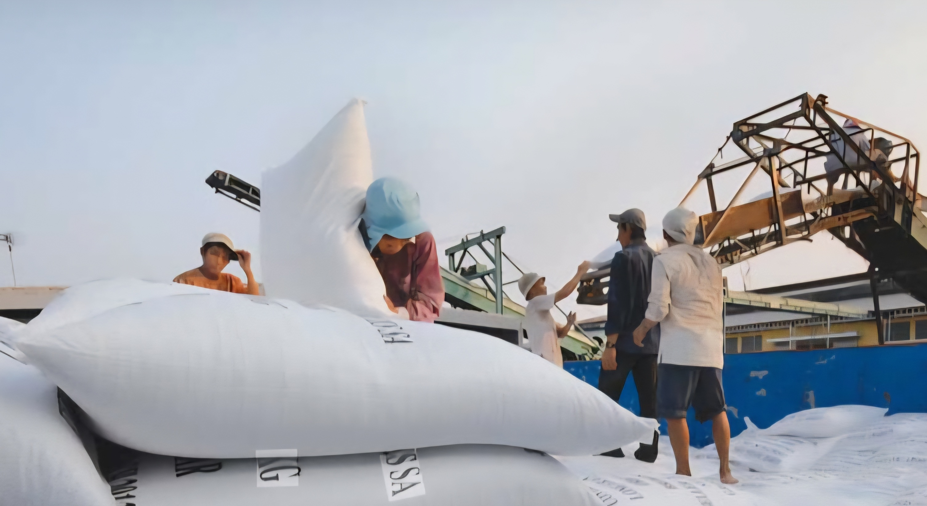Doanh nghiệp phải liên kết chặt với nông dân, hợp tác xã để ổn định chất lượng, truy xuất nguồn gốc và giảm chi phí trung gian