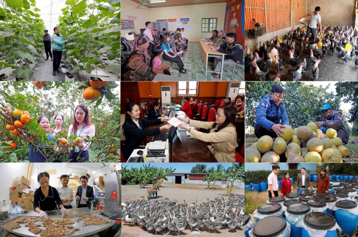 Các tỉnh, thành phố tiếp tục quan tâm lãnh đạo, chỉ đạo hoạt động tín dụng chính sách xã hội Các tỉnh, thành phố tiếp tục quan tâm lãnh đạo, chỉ đạo hoạt động tín dụng chính sách xã hội