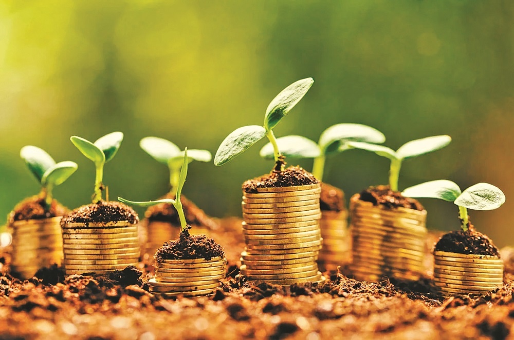Tín dụng xanh tại Việt Nam đã được triển khai từ khá sớm và đang ghi nhận tốc độ tăng trưởng ấn tượng