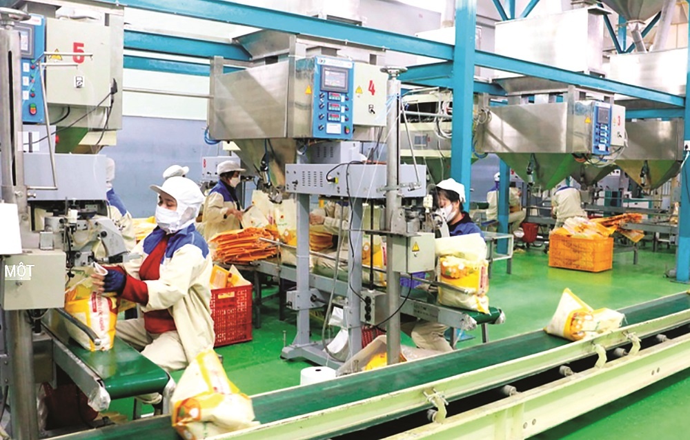 Các doanh nghiệp Việt cần chú trọng từ khâu tổ chức sản xuất, kiểm soát chất lượng đến tư duy xuất khẩu dài hạn Các doanh nghiệp Việt cần chú trọng từ khâu tổ chức sản xuất, kiểm soát chất lượng đến tư duy xuất khẩu dài hạn