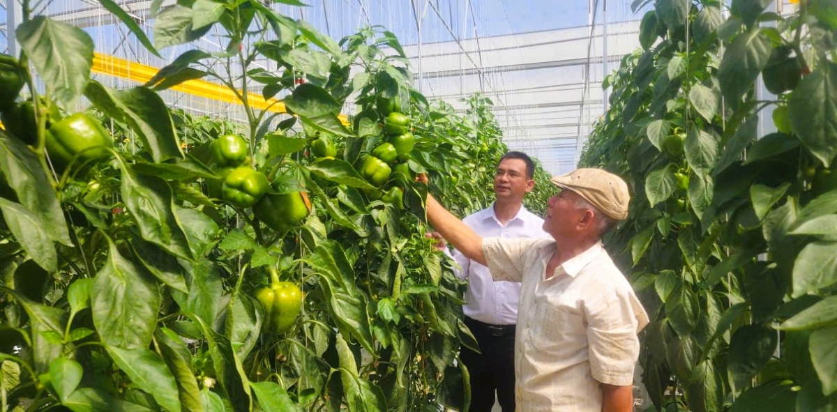 Mô hình vay vốn đầu tư phát triển nông nghiệp cao ở xã Tân Hội, Lâm Đồng. Mô hình vay vốn đầu tư phát triển nông nghiệp cao ở xã Tân Hội, Lâm Đồng.