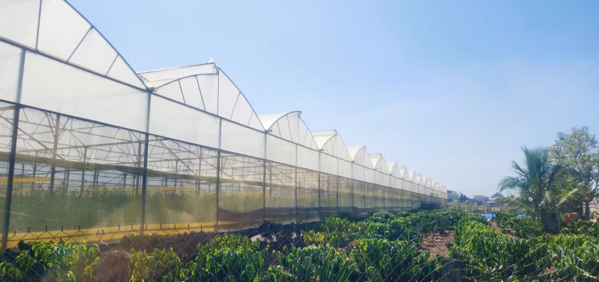 Dòng vốn tiếp tục tập trung vào lĩnh vực sản xuất, kinh doanh, đặc biệt là các lĩnh vực ưu tiên Dòng vốn tiếp tục tập trung vào lĩnh vực sản xuất, kinh doanh, đặc biệt là các lĩnh vực ưu tiên
