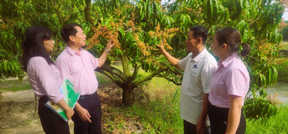 Tín dụng ngân hàng “điểm tựa” kịp thời cho người dân và doanh nghiệp trong những thời điểm khó khăn, đặc biệt sau đợt mưa lũ lịch sử tháng 11/2025. Tín dụng ngân hàng “điểm tựa” kịp thời cho người dân và doanh nghiệp trong những thời điểm khó khăn, đặc biệt sau đợt mưa lũ lịch sử tháng 11/2025.