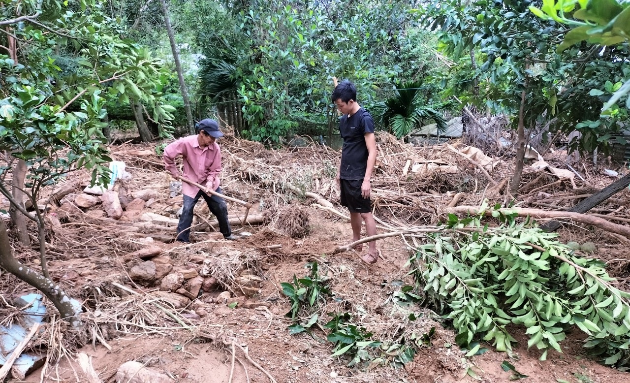Cùng nông dân khôi phục sản xuất sau mưa lũ Cùng nông dân khôi phục sản xuất sau mưa lũ