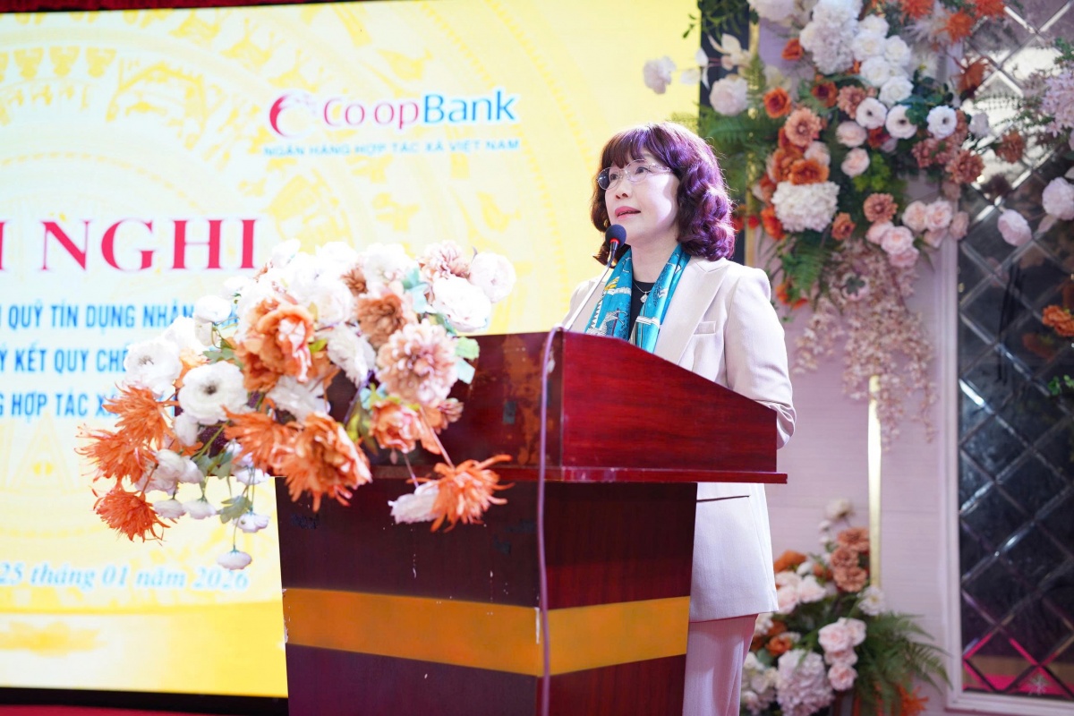 QTDND Khu vực 8: Duy trì tăng trưởng, củng cố an toàn cho năm 2026 QTDND Khu vực 8: Duy trì tăng trưởng, củng cố an toàn cho năm 2026