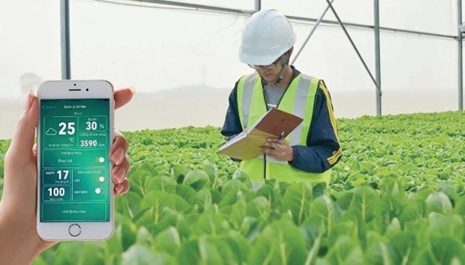 Ngành Nông nghiệp và Môi trường triển khai đồng bộ các giải pháp nhằm bảo đảm an ninh lương thực, môi trường và tăng trưởng xanh