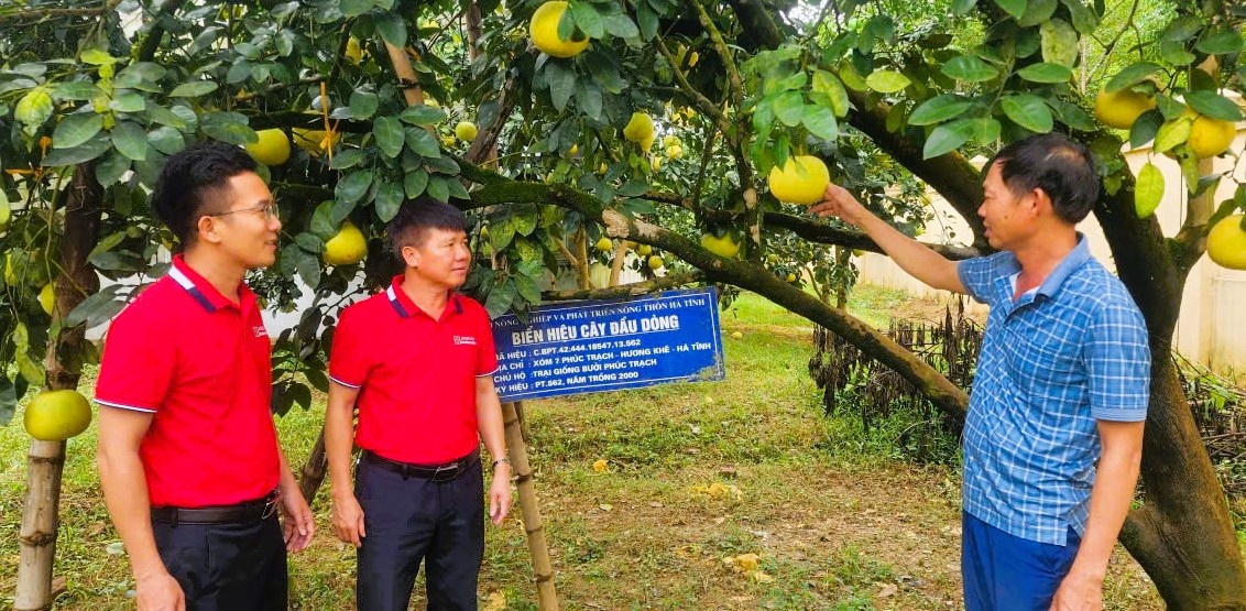 Cho vay tam nông vẫn là một trong những lĩnh vực ưu tiên đẩy mạnh ở khu vực. Cho vay tam nông vẫn là một trong những lĩnh vực ưu tiên đẩy mạnh ở khu vực.