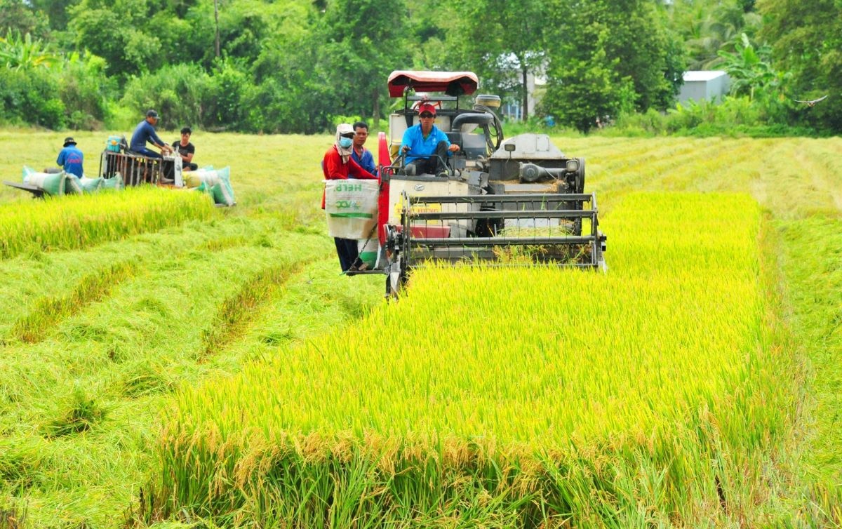 Nông nghiệp Việt vào cuộc đua số hóa và giảm phát thải Nông nghiệp Việt vào cuộc đua số hóa và giảm phát thải