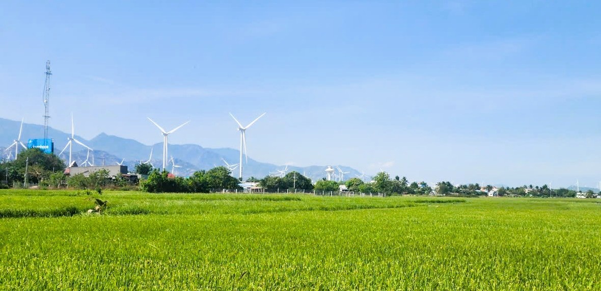 Tín dụng chính sách lan tỏa sinh kế bền vững ở Thuận Bắc Tín dụng chính sách lan tỏa sinh kế bền vững ở Thuận Bắc