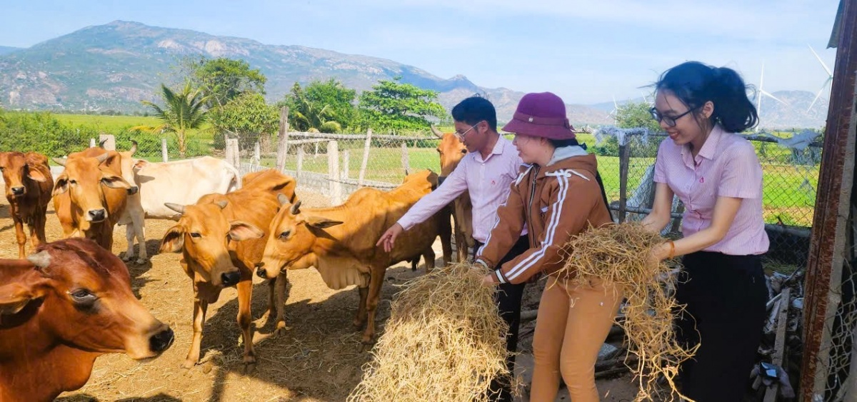 gia đình bà Lê Thị Bích Kiểu ở xã Thuận Bắc. Đây là một trong những hộ tiêu biểu từ nguồn vốn tín dụng chính sách. gia đình bà Lê Thị Bích Kiểu ở xã Thuận Bắc. Đây là một trong những hộ tiêu biểu từ nguồn vốn tín dụng chính sách.