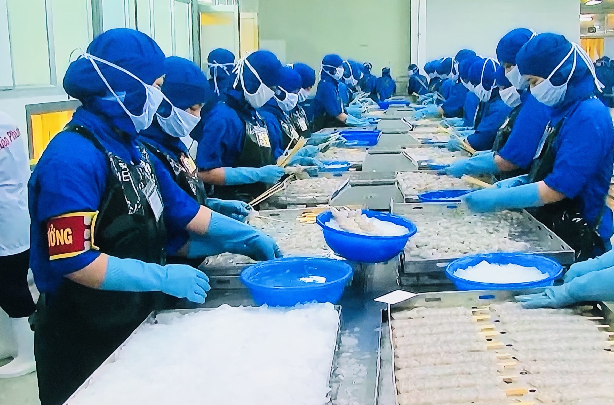 Nguồn nhân lực là cốt lõi của doanh nghiệp năm 2026 Nguồn nhân lực là cốt lõi của doanh nghiệp năm 2026