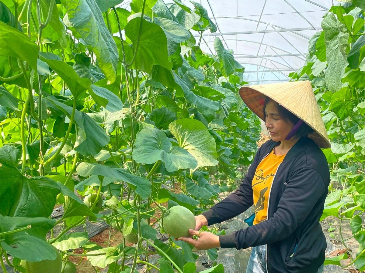 Sau khi vượt Thái Lan về xuất khẩu sầu riêng vào Trung Quốc, nông sản Việt tiếp tục tăng tốc Sau khi vượt Thái Lan về xuất khẩu sầu riêng vào Trung Quốc, nông sản Việt tiếp tục tăng tốc