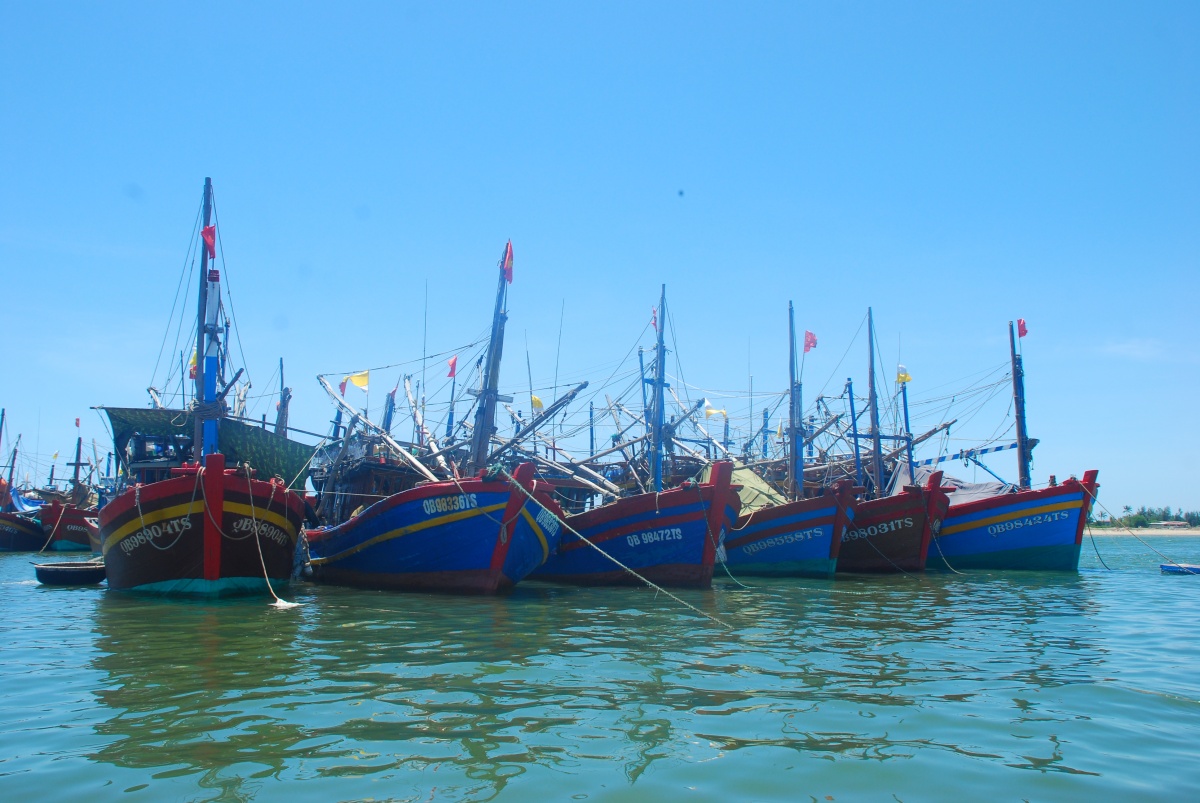 Gia Lai khơi dòng phát triển bền vững cho ngành thủy sản
