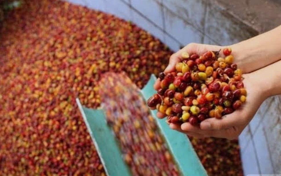 doanh nghiệp buộc phải đầu tư đồng bộ doanh nghiệp buộc phải đầu tư đồng bộ