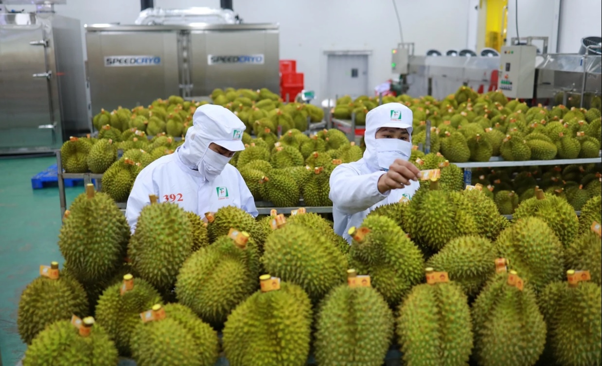 Các mặt hàng rau củ quả có kim ngạch xuất khẩu tháng 1 tăng trưởng gấp đôi cùng kỳ. Ảnh: M.Bảo