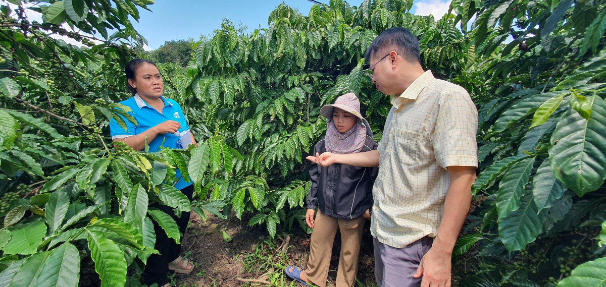 Nâng cao hiệu quả tín dụng chính sách sau sáp nhập, tạo động lực cho người yếu thế vươn lên