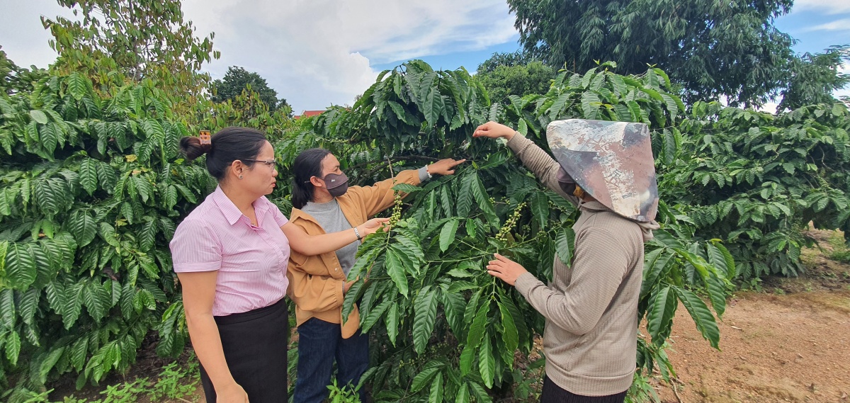 Nâng cao hiệu quả tín dụng chính sách sau sáp nhập, tạo động lực cho người yếu thế vươn lên