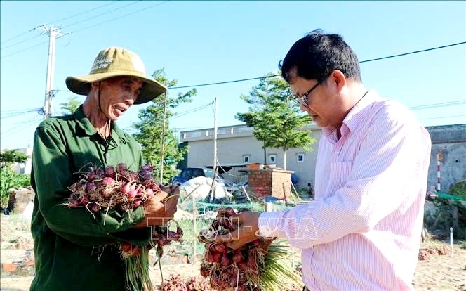 Quảng Ngãi: Tín dụng chính sách tạo động lực cho người yếu thế vươn lên