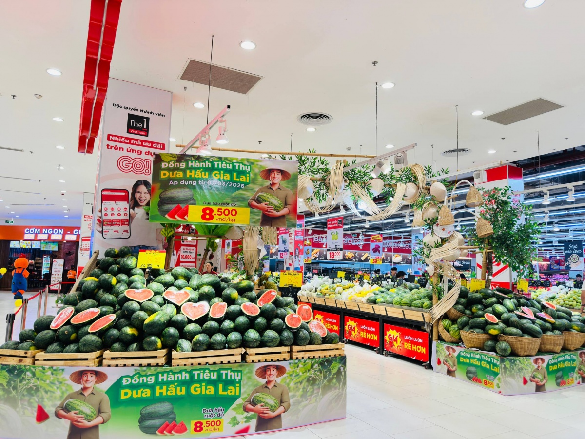 Chung tay sẻ chia cùng người trồng dưa hấu Gia Lai