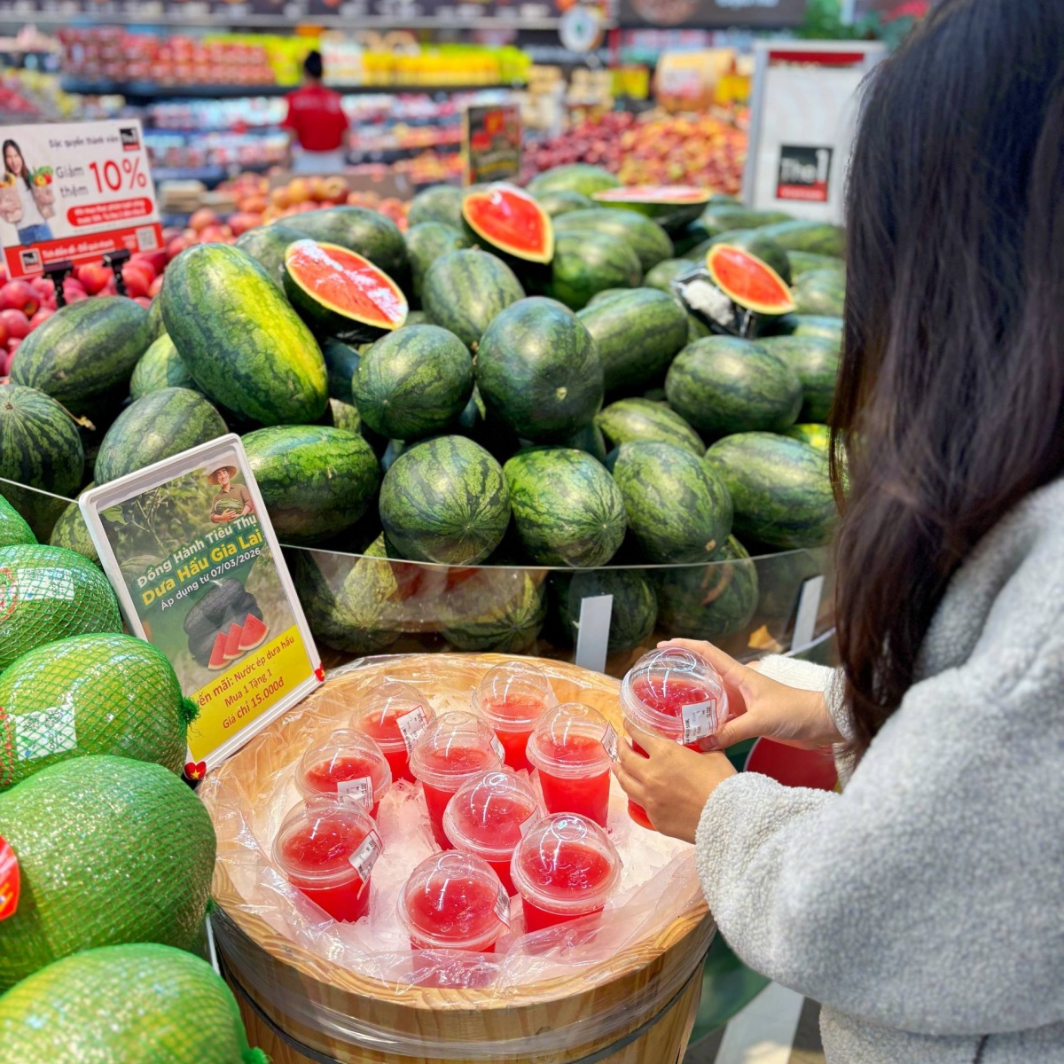 Chung tay sẻ chia cùng người trồng dưa hấu Gia Lai
