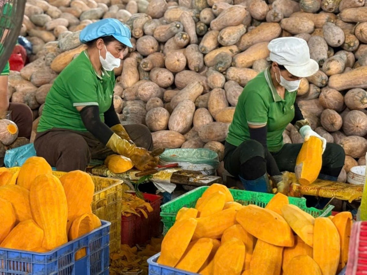 Xuất khẩu nông, lâm, thủy sản đạt 11,3 tỷ USD sau 2 tháng đầu năm Xuất khẩu nông, lâm, thủy sản đạt 11,3 tỷ USD sau 2 tháng đầu năm