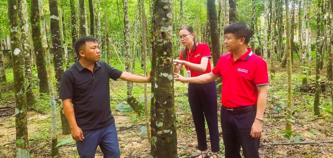 Những nỗ lực của ngành Ngân hàng góp phần tạo động lực thúc đẩy kinh tế Hà Tĩnh phục hồi và tăng trưởng. Những nỗ lực của ngành Ngân hàng góp phần tạo động lực thúc đẩy kinh tế Hà Tĩnh phục hồi và tăng trưởng.