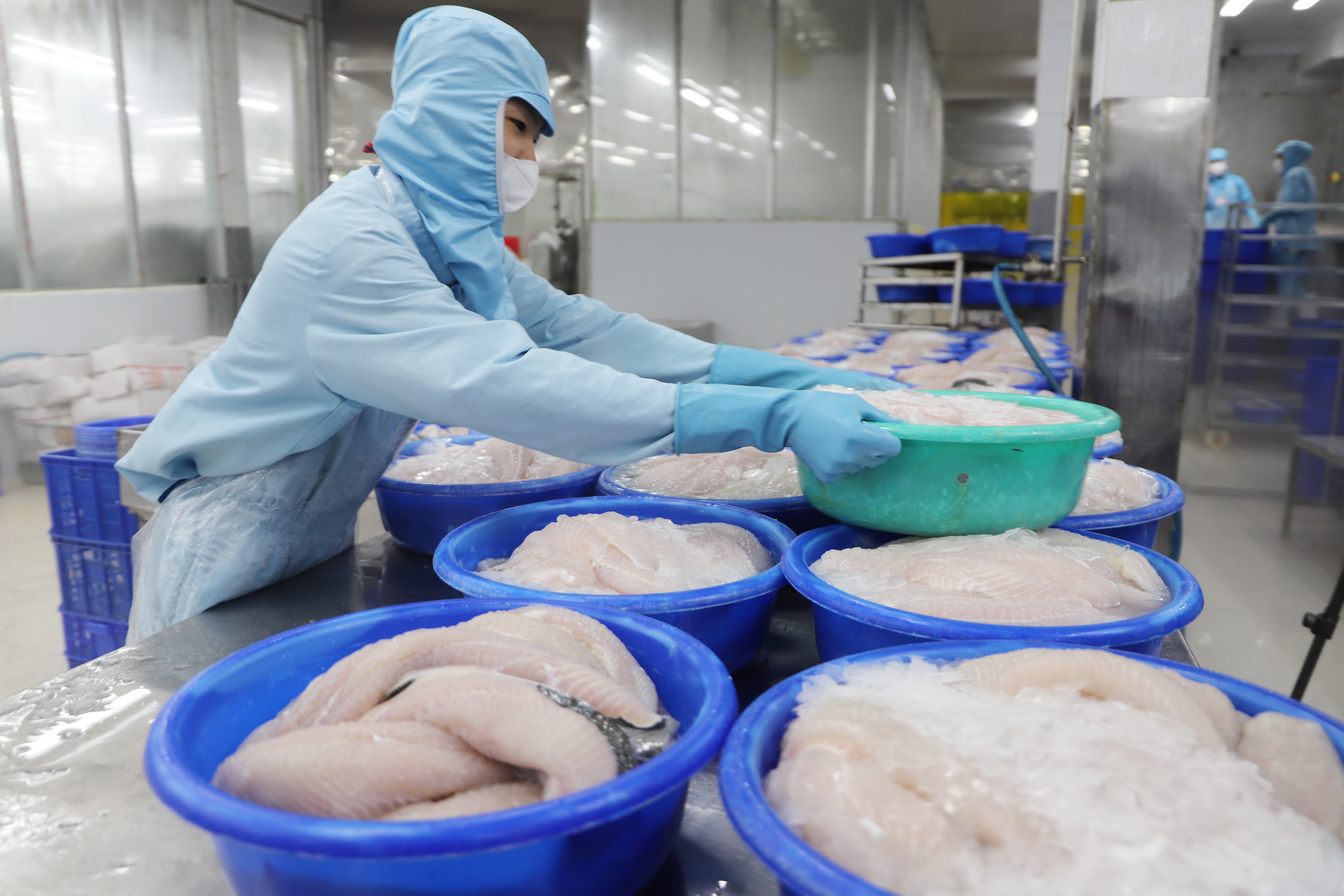 Doanh nghiệp chủ động ứng phó nguy cơ đứt gãy chuỗi cung ứng