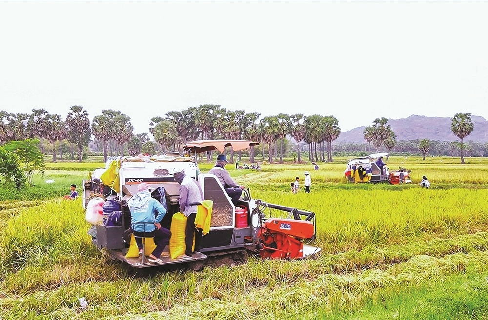 Nhờ các nguồn lực của CTMTQG, vùng cao có nhiều đổi thay rõ rệt Nhờ các nguồn lực của CTMTQG, vùng cao có nhiều đổi thay rõ rệt