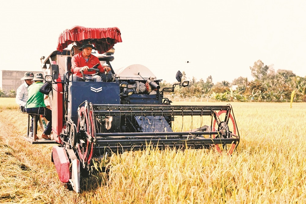 Nhiều HTX tham gia Đề án 1 triệu hecta lúa chất lượng cao đã vay ngân hàng để đầu tư máy móc thiết bị cơ giới hóa đồng ruộng
