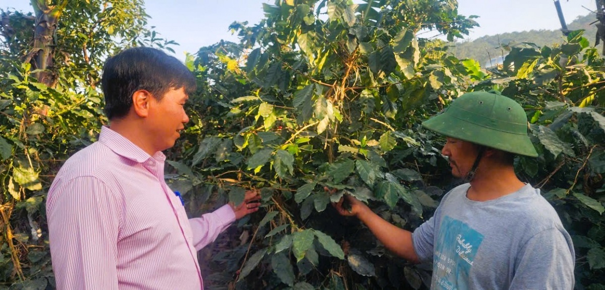 Tín dụng chính sách “bệ đỡ” cho nhiều hộ nghèo, và các đối tượng chính sách trên địa bàn Lâm Đồng vươn lên thoát nghèo bền vững.