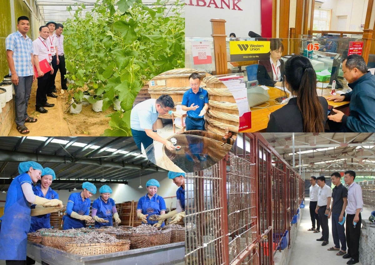 Dòng vốn tín dụng chảy mạnh vào sản xuất, kinh doanh